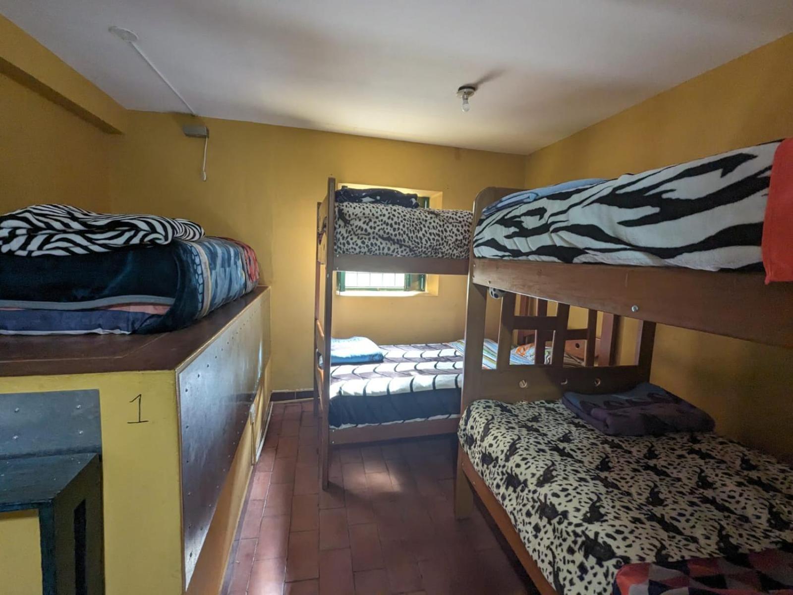 Lord Shiva Hostel Cusco Ngoại thất bức ảnh